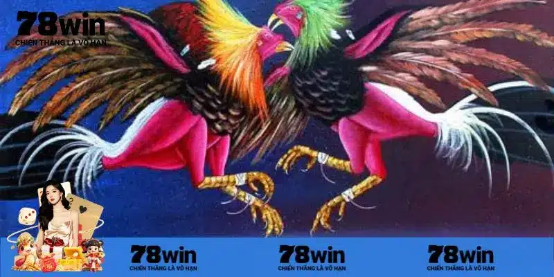 Kinh nghiệm cá cược đá gà trực tiếp chính xác 99%