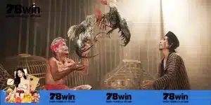 Khám phá sức mạnh chiến kê bí ẩn trong đá gà C3