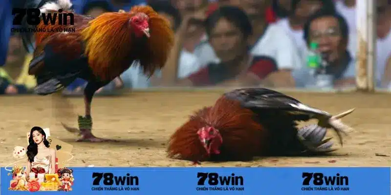 Kỹ thuật đánh chính xác người chơi cần ghi nhớ