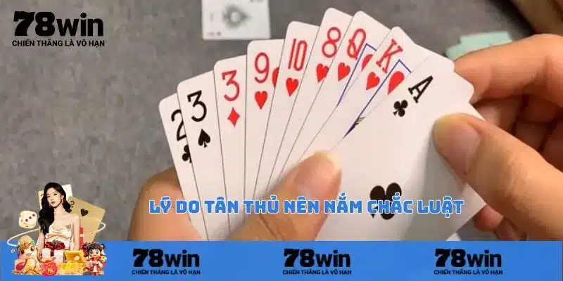 Lý do tân thủ nên nắm chắc các quy định khi chơi